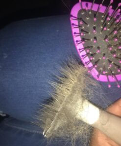 Paws & Pals Dog Brush - Gentle Soft Hair Rake Trimming Comb - Best for Shedding Dogs-Cats, Thick Long Short Haired Pet, Coat Grooming & Cat Hair Fur Removal - Self Cleaning - Deshedding Supplies 46 71oaynEV8yL