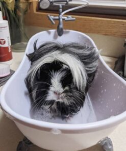 Sophia's Classic White Clawfoot Bathtub with Handheld Shower Head and Faucet Furniture Set for 18" Dolls, White/Silver 35 71odGXZaXiL