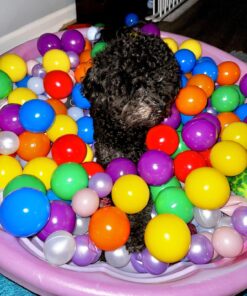 Intex Set of 100 Coloured Balls 3" 35 71oeO6Y0ShL