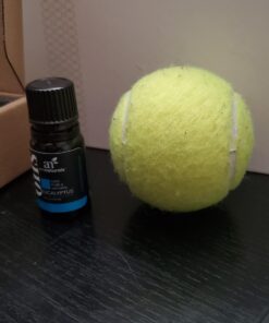 ArtNaturals Aromatherapy Top-6 Essential Oil Set - (6 x 10ml Bottles) - 100% Pure of The Highest Therapeutic Grade - Premium Gift Set – Lavender, Peppermint, Tea Tree, Eucalyptus 41 71ohuDDIwL