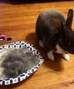 DakPets Pet Deshedding Tool | Professional Cat and Dog Brush for Shedding | Fur Deshedding Brush and Pet Hair Remover for Cats and Dogs | Stainless Steel Cat and Dog Shedding Brush for Pet Grooming Hot Pink 61 71oiP54PvYL