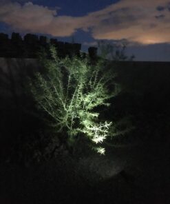 InnoGear Solar Lights for Outside, Solar Lights Outdoor Waterproof Solar Garden Yard Spot Lights Spotlight Pathway Landscape Lighting Wall Light Auto On/Off, Pack of 2 (White) White 49 71okWhAL2AL