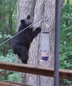 Droll Yankees 21964205201 787461785928 Squirrel Proof Bird Feeder, Yankee Whipper, 28-Inch, 4 P, Evening Blue 24 71olLqK5oL