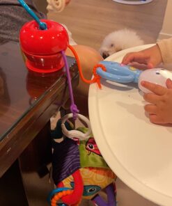 Grapple, Suction Cup Toys Holder for High Chair , Stroller and Teething Toys for Babies 6-12 Months. One of Your Baby Must Haves! Red 42 71om2o73vZL