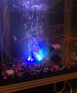 LONDAFISH Aquarium Bubble Light Aquarium Air Stone LED Light Air Pump Bubble Stone Lamp 25 71omUFSUYML
