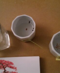 Plant Theatre Bonsai Tree Kit - Indoor Plant Growing Kit w/ 3 Mini Bonsai Seed Packs, 6 Pots, 6 Peat Discs and 6 Propagator Bags - Gardening Gifts for Men, Women and Room Decor - Crafts for Adults 49 71onQnqwOoL