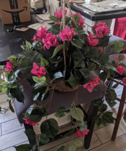 Nearly Natural Bougainvillea Basket Silk 1 Artificial Hanging Plant, 32 x 32 x 24, Green, Pink 47 71op2AZ5zeL