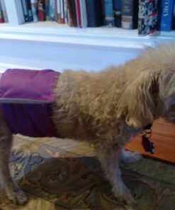 PET MAGASIN Male Dog Belly Manner Band Wraps Nappies, 3-Pack, Blue Green and Purple, Small Solid Small (13"-15" Waist) 36 71opLqnK5cL