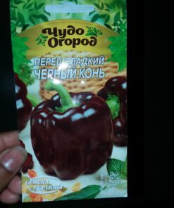 Sweet Bell Pepper Black Horse Seeds Heirloom Vegetable for Planting Giant Non GMO 30 Seeds 21 71oq2mFMsQL