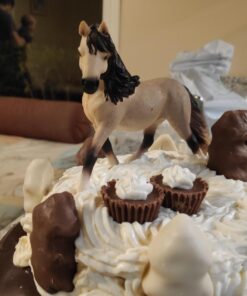 Schleich Horse Club Realistic Andalusian Mare Figurine - Highly Detailed Horse Toy, Durable for Education and Imaginative Play for Boys and Girls, Gift for Kids Ages 5+ 27 71owJ9Fja8L