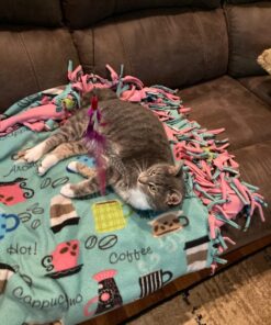 GoCat DaBird Feather Refill, Assorted Colors, Pack of 3 3 Pack 19 71oyvY7Ia2L