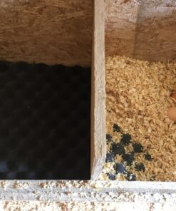 IZO All Supply Convoluted 2 Inch 12in W x 12in L Egg Crate Panels Acoustic Foam Sound Proof Wall Tiles, 6 Pack 2x12x12 (6pack Convoluted) 32 71ozkXAP1RL