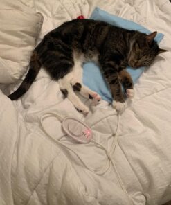 Sunbeam Heating Pad for Pain Relief | Standard Size Ultra Heat, 3 Heat Settings | Light Blue, 12 Inch x 15 Inch UltraHeat, 12 x 15 40 71ozqU9jEL