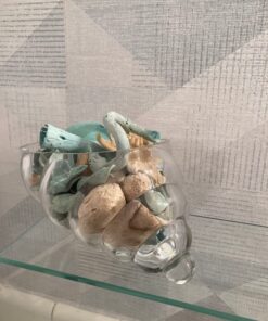 Hosley Glass Shell Vase 8 Inches Long Ideal Gift for Weddings Spa Aromatherapy Flower Arrangements Bowl for Orbs DIY Craft Projects LED Votive Candle Gardens O9 27 71p5zDASm7L