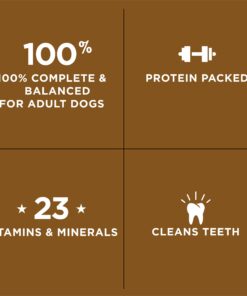 Purina Dog Chow Small Breed Dry Dog Food, Little Bites With Real Chicken & Beef - 8 lb. Bag 8 Pound (Pack of 1) 18 71p6CtSr5TL