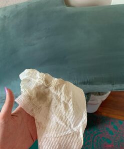 Blue Coral DC22 Upholstery Cleaner Dri-Clean Plus with Odor Eliminator, 22.8 oz. Aerosol 60 71p9xPU0viL