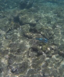 Lightdow LD4000 Sports Action Camera HD Waterproof DV Camcorder (Black) Black 36 71pAQLUMD2L