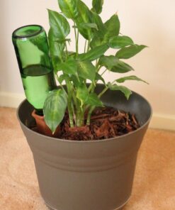 Modern Innovations Ceramic Terracotta Self Watering Spikes (4 Pack) Vacation Automatic Plant Waterer Devices, Indoor/Outdoor Planter Insert, Terra-Cotta Stakes for Potted Plants, Auto-Water System 4 Pack 48 71pAbdiBuL