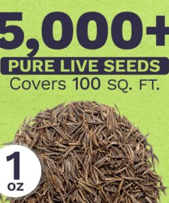 Cosmos Seeds Wildflower Mixture - Bulk 1 Ounce Packet - Over 5,000 Seeds - Pink, Yellow, Orange, Red, Purple and White Mixed Species! 1 Ounce Pouch 31 71pEMekGvrL