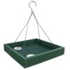 Woodlink Going Green Platform Bird Feeder Model GGPLAT 7 71pFIFQCyPL