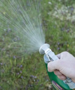 Ortho Weed B Gon Chickweed, Clover & Oxalis Killer for Lawns, 32 Oz. Ready to Spray 20 71pFiC2u5nL