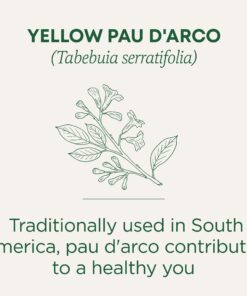 Alternative view of Traditional Medicinals Tea, Yellow Pau d'Arco, Everyday Wellness, 96 Tea Bags (6 Pack) 16 Count (Pack of 6)