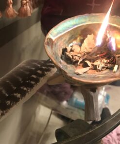 Smudge Kit - White Sage, Palo Santo, Abalone Shell, Smudging Feather for Healing, Purifying, Meditating & Incense (Essentials Plus) 39 71pGzWYxbrL