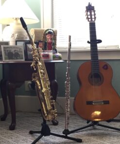 Hamilton Alto/Tenor sax Stand, Black, includes Flute/Clarinet peg 10 71pKNYtojpL