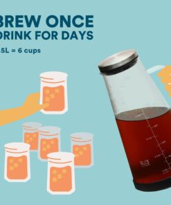 Airtight Cold Brew Iced Coffee Maker Pitcher (& Iced Tea Maker) with Spout – 1.5L/ 51oz Ovalware RJ3 Brewing Glass Carafe with Removable Stainless Steel Filter 1.5 Liter 29 71pN3ZSx4L