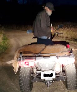 Primos Hunting Bloodhunter HD, Advanced Shadow Free Blood Tracking Light for Night Hunting 27 71pN9JOwHTL