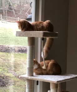 Go Pet Club Classic Cat Tree, Faux Fur Finish, Sisal Rope Scratcher, 62"H, Beige 40 71pNaEiTWrL