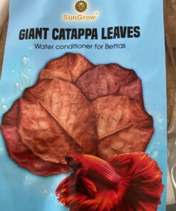 SunGrow Betta Leaves, 8”, 10 Pcs Beneficial Large Catappa Indian Almond Leaves for Overall Development in Fish Tank Aquarium, Water Conditioner Leaves Lower pH Large (8", 10 pack) 34 71pRVjdvPUL
