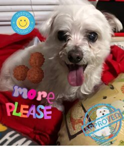 Milo's Kitchen Dog Treats, Chicken Meatballs, 18 Ounce 18 Ounce (Pack of 1) 35 71pUO7XZhL