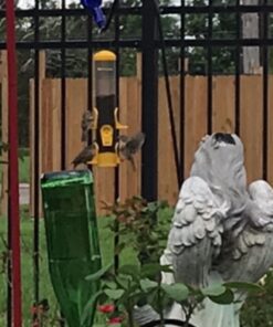 Stokes Select Thistle Tube Bird Feeder with Six Feeding Ports, Yellow, 1.6 lb Capacity - 38224, small 17 71pWQvlij L