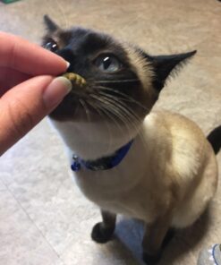 FELINE GREENIES Natural Dental Care Cat Treats Catnip Flavor, 5.5 oz. Pack 34 71pa6guiIL