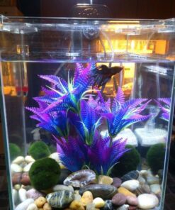 Fluval Chi II Series Aquarium Set, 5-Gallon - Aquarium Tank with Ambient LED Lighting, Flowing Water, and Elegant Design, White 5 gal 57 71pbv43e4fL