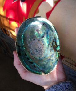 Smudge Kit - White Sage, Palo Santo, Abalone Shell, Smudging Feather for Healing, Purifying, Meditating & Incense (Essentials Plus) 31 71pbvrOTbDL