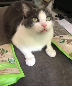 FELINE GREENIES Natural Dental Care Cat Treats Catnip Flavor, 5.5 oz. Pack 41 71pdIbDb2IL