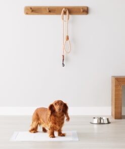 Amazon Basics Dog and Puppy Pee Pads with Leak-Proof Quick-Dry Design for Potty Training, Standard Absorbency, Regular Size, 22 x 22 Inches, Pack of 100, Blue & White Unscented Regular (100 Count) 24 71pe0rmlkML 2