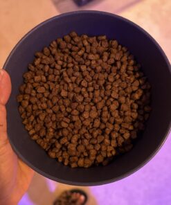 IAMS PROACTIVE HEALTH Healthy Kitten Dry Cat Food with Chicken Cat Kibble, 16 lb. Bag Dry Food 16.00 Pound (Pack of 1) 42 71pet8CLlUL