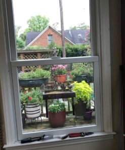 MBTP Bulk Dried Mealworms - Treats for Chickens & Wild Birds (11 Lbs) 15 71pey3fXUpL