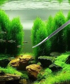 SAMYO Stainless Steel Aquarium Tank Plant Tools Aquascaping Kit Aquatic Plant Tweezers Scissor Substrate Spatula Tools Set - 5 Tools 15 71pm2ZrWufL