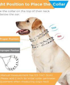 Pettom Dog Prong Collar Training Chain Collar Pet Choke Pinch Training Collar Adjustable for Pitbulls (S 22.6inch) S 18.3inch 14 71ppTnqGTHL