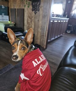 Fruitables Dog Treats Pumpkin & Apple Flavor, 7 oz 7 Ounce (Pack of 1) Pumpkin and Apple 18 71pq4yQb3WL