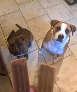 Triumph Dog Turkey, Pea, & Berry Grain Free Jerky, 24-Ounce 1.5 Pound (Pack of 1) 29 71pqBcUpMFL