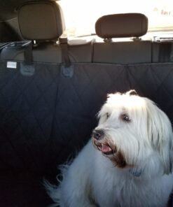 BarksBar Pet Car Seat Cover with Seat Anchors for Cars, Trucks and SUV's, Water Proof and Non-Slip Backing Regular, Black Standard 48 71prQaYb0lL