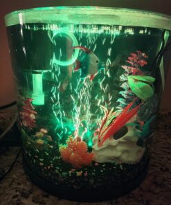 Tetra ColorFusion Starter aquarium Kit 3 Gallons, Half-Moon Shape, With Bubbler And Color-Changing Light Disc 61 71prcGE3YBL