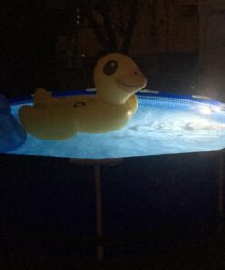 Intex LED Pool Wall Light, 110-120V 31 71psxHvZCVL