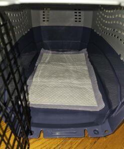 Amazon Basics - 2-Door Top-Load Hard-Sided Dogs, Cats Pet Travel Carrier, Gray & Blue, 22.8"L x 15.0"W x 13.0"H Two-Door Top-Load 78 71q06r6K3NL