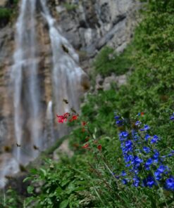 Nikon D3200 24.2 MP CMOS Digital SLR with 18-55mm f/3.5-5.6 Auto Focus-S DX VR NIKKOR Zoom Lens (Black) (OLD MODEL) Black w/ 18-55mm Base 67 71q324CVTVL